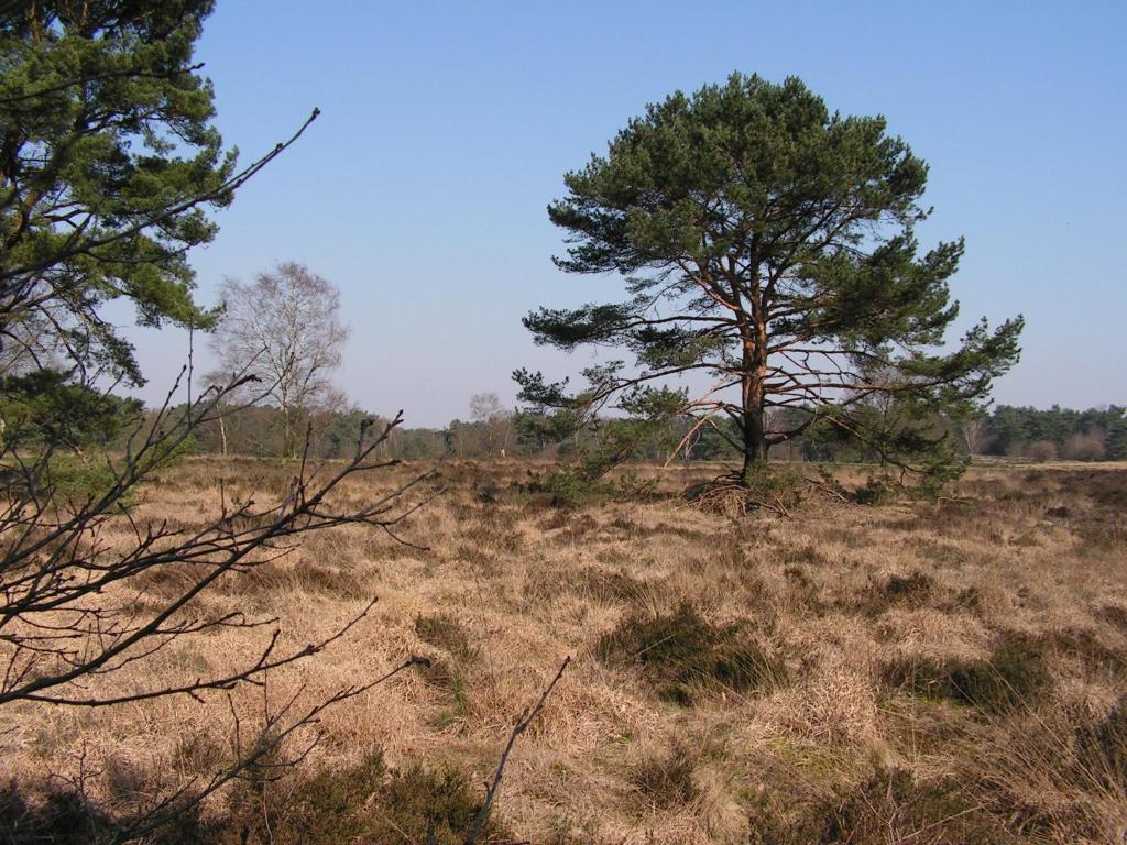 Restinn Warmenhuizen Exterior foto